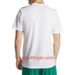 Wales Fodboldtrøjer Udebanesæt 2018